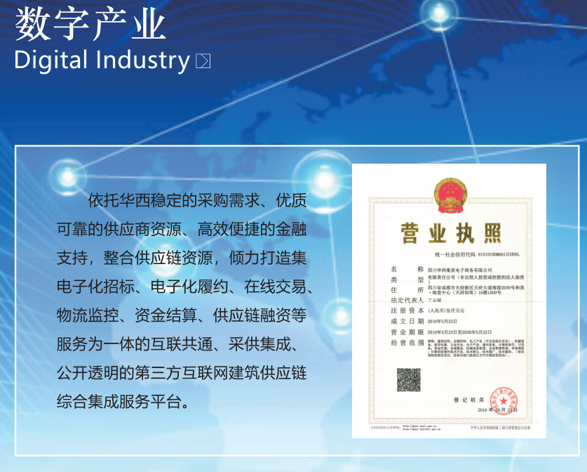 数字产业